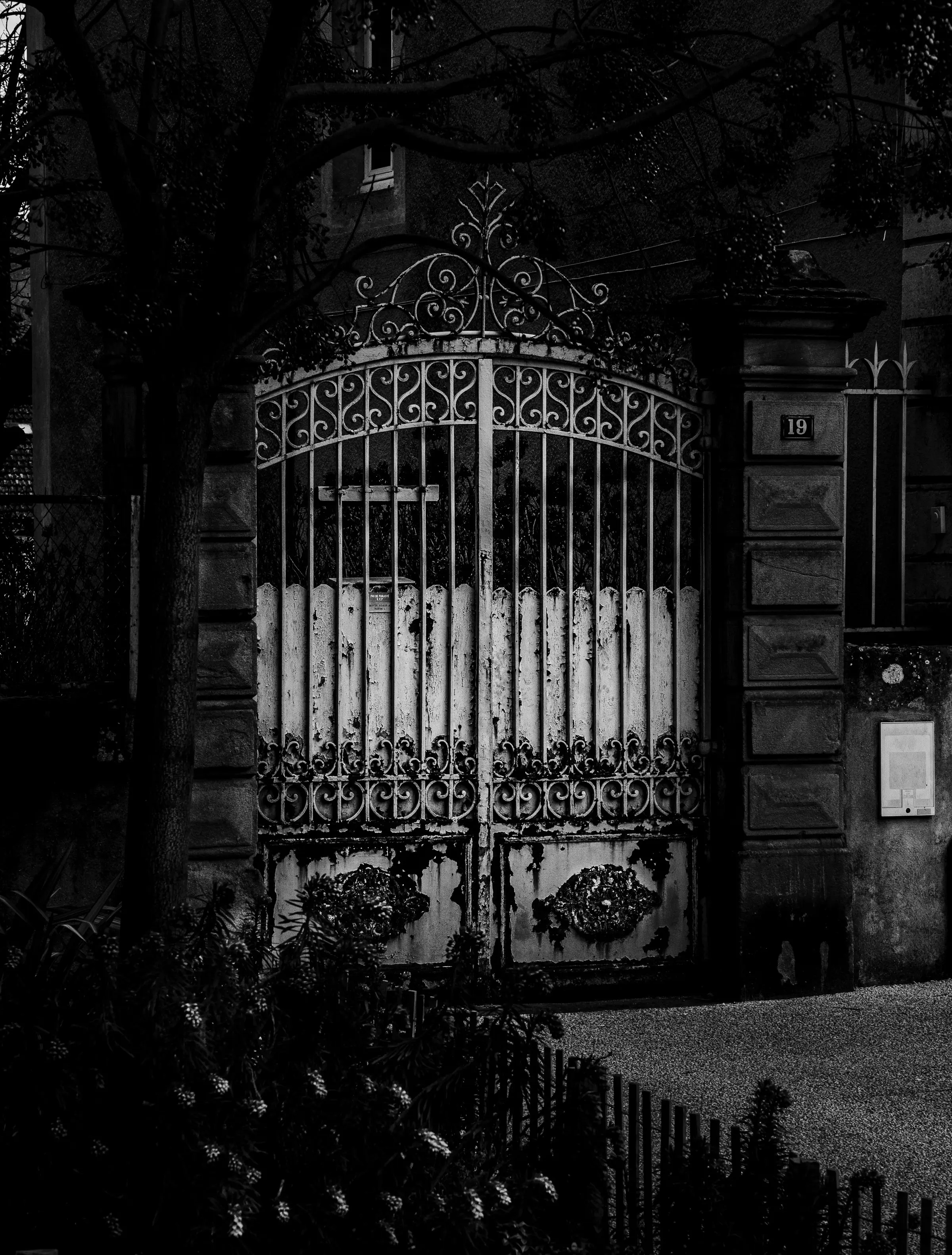 Photographie urbaine à Privas — portail isolé baigné de lumière sous un arbre, contraste d'ombres, noir et blanc